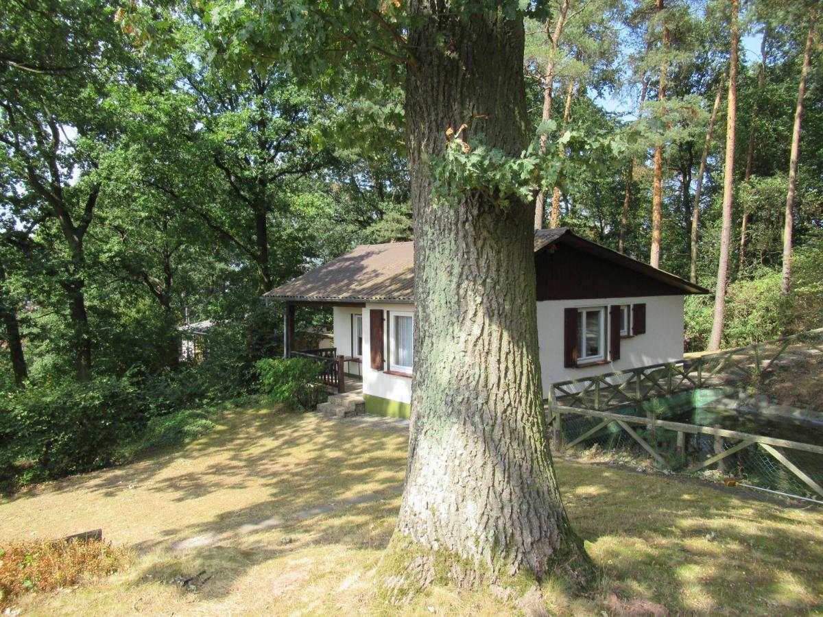 Feriendorf Mengshausen Niederaula Exteriér fotografie
